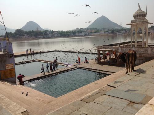 2012 Indien Pushkar
