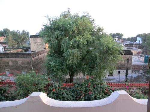 IMG_0790